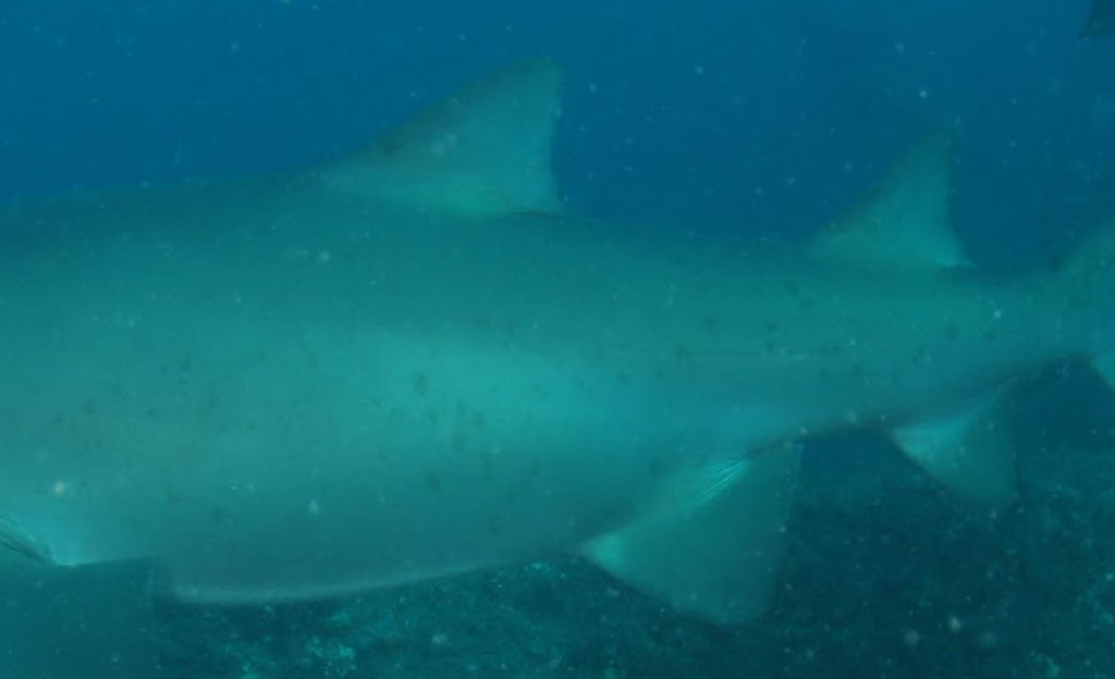 72217ea3-4a96-43d4-84df-198fd8acb00e