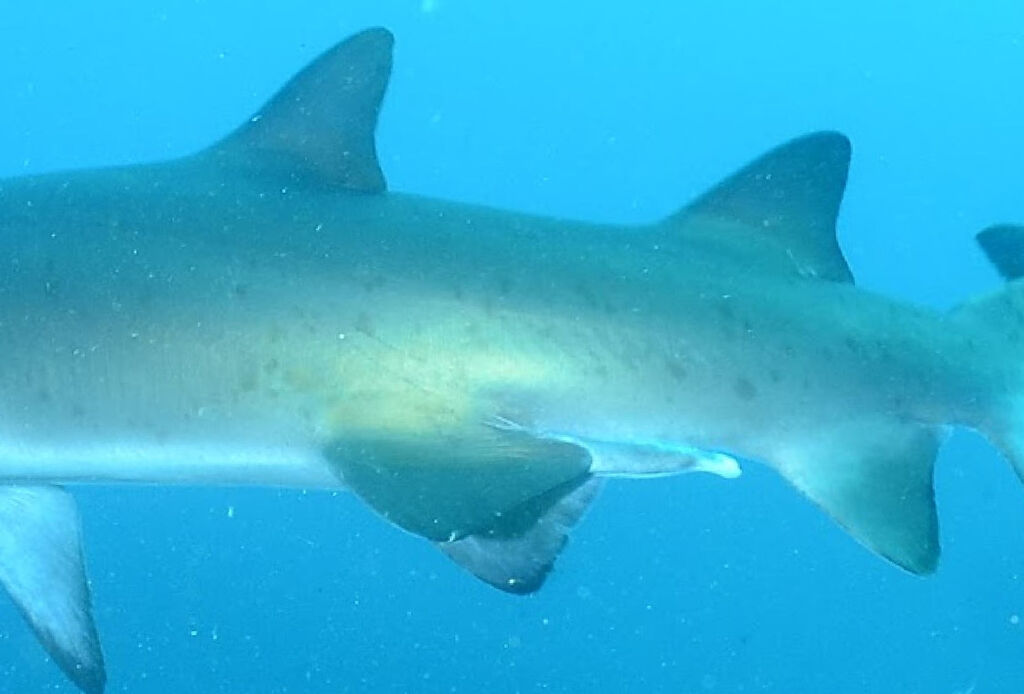 7d31a38d-76eb-43ac-843e-42761febb3ef