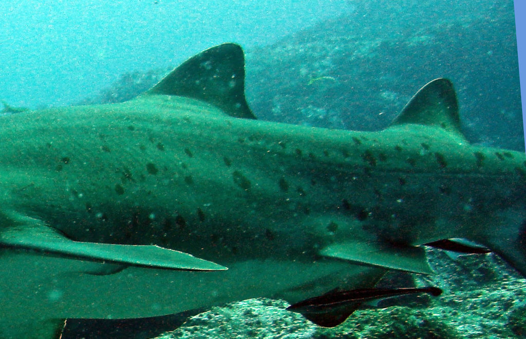 42a46449-19cc-40bf-9c3f-f5c141ac912c