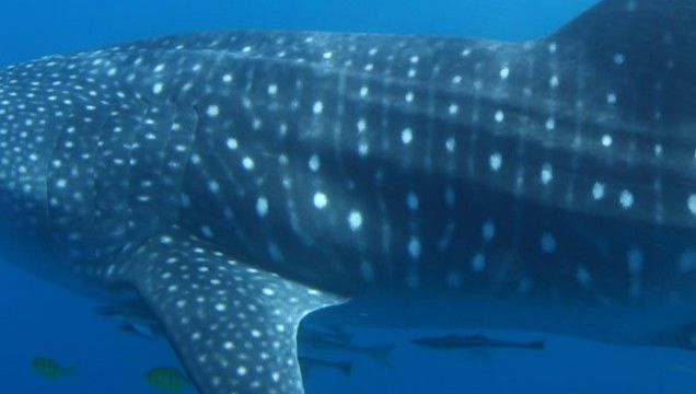 ff14fbb4-c67a-4646-a2cf-b997a993d07a