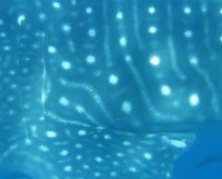 c9de4786-38ba-4d2c-81b0-a425270794f6