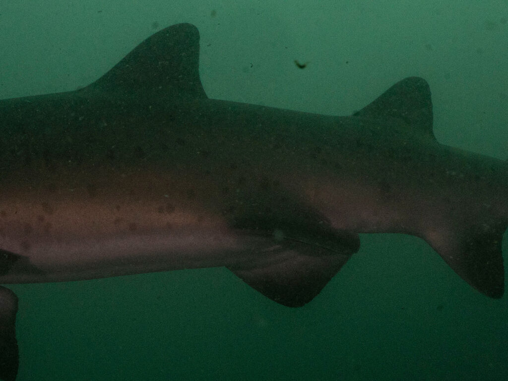 b51059b0-57ac-4fe4-87e6-0d5ab44670e4