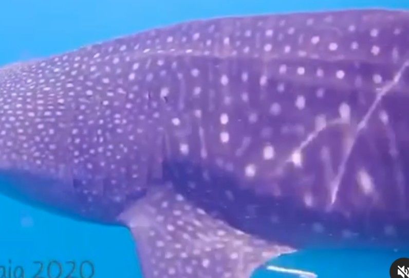 b3bbc147-08fd-463a-b1ef-55a9d3acaa88