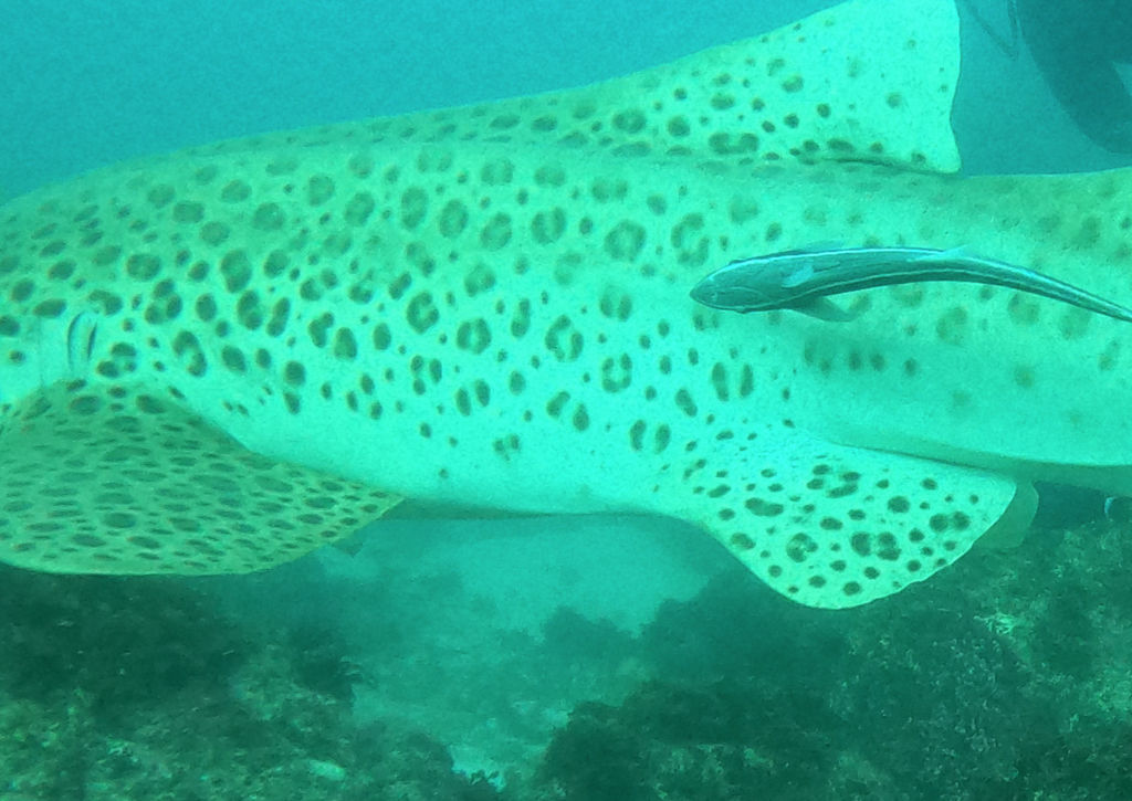 ebc464dd-aab1-417f-a270-5ac76ca1d8ff