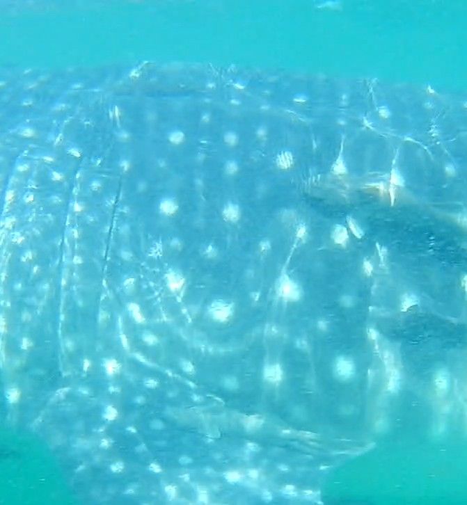 3535ba3d-2e60-46b5-a3c9-faad6ab38b31