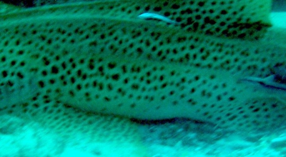 8fcec9fa-e0bc-49f1-9136-564baffb3692