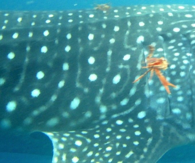 99c8f309-6dcd-4452-ac2d-603ea232525c