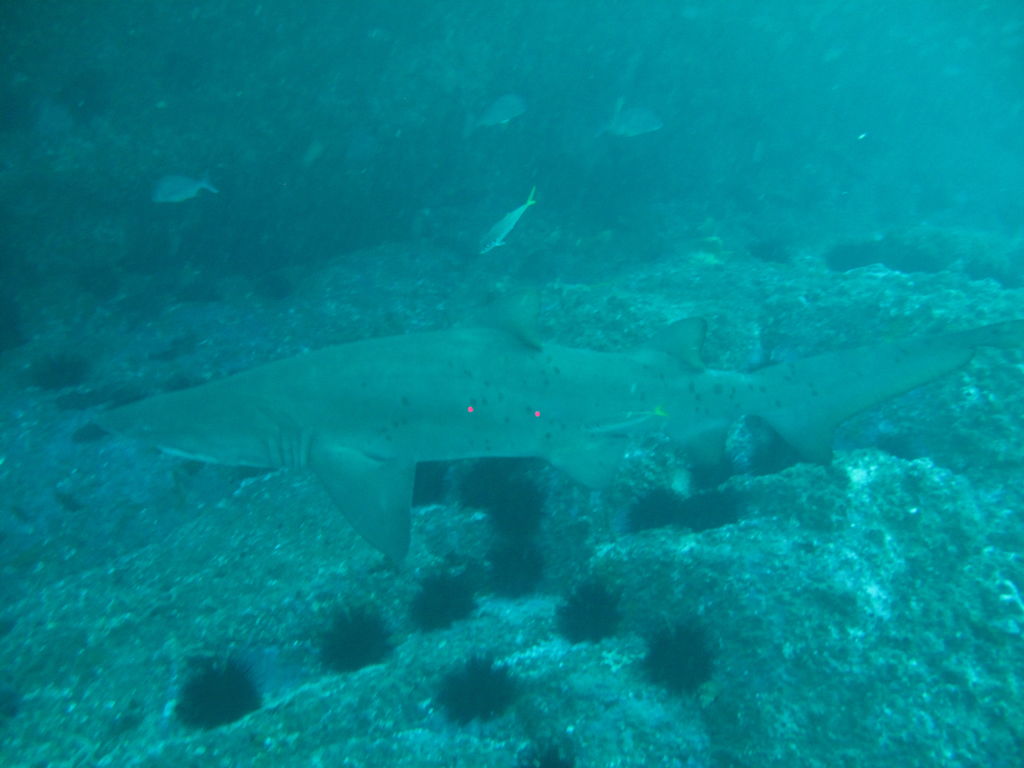 6b8c205a-eede-4b01-8621-79e3c895006b