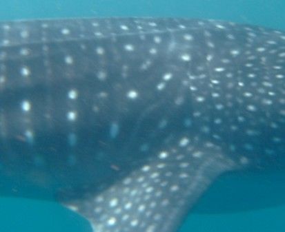 6922a1cb-3196-42cc-bd95-fcdf8b1aa1d2