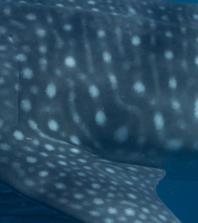 da9f06d6-88ba-4a77-9ec4-900ddb7727af