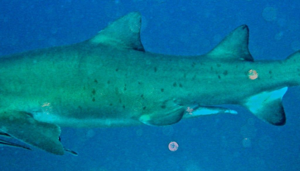 fb08d4b0-95bf-4f11-a96c-c66954e73039