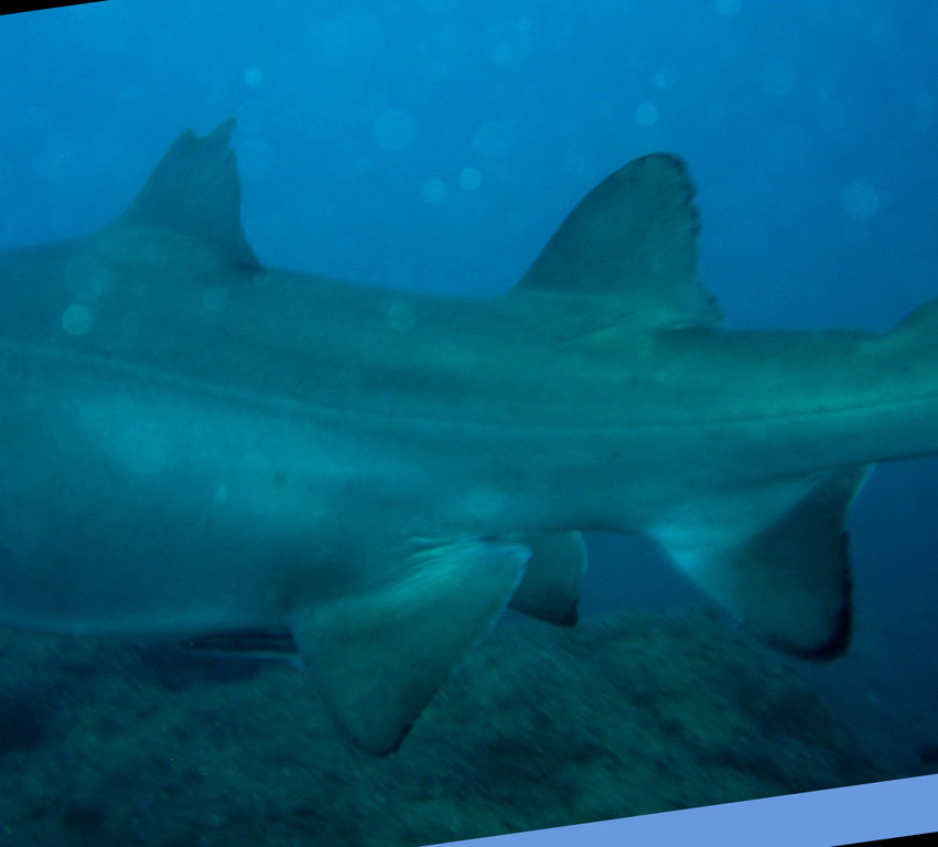 27ee1bf8-e2db-4e3d-ad14-2d82d4387583