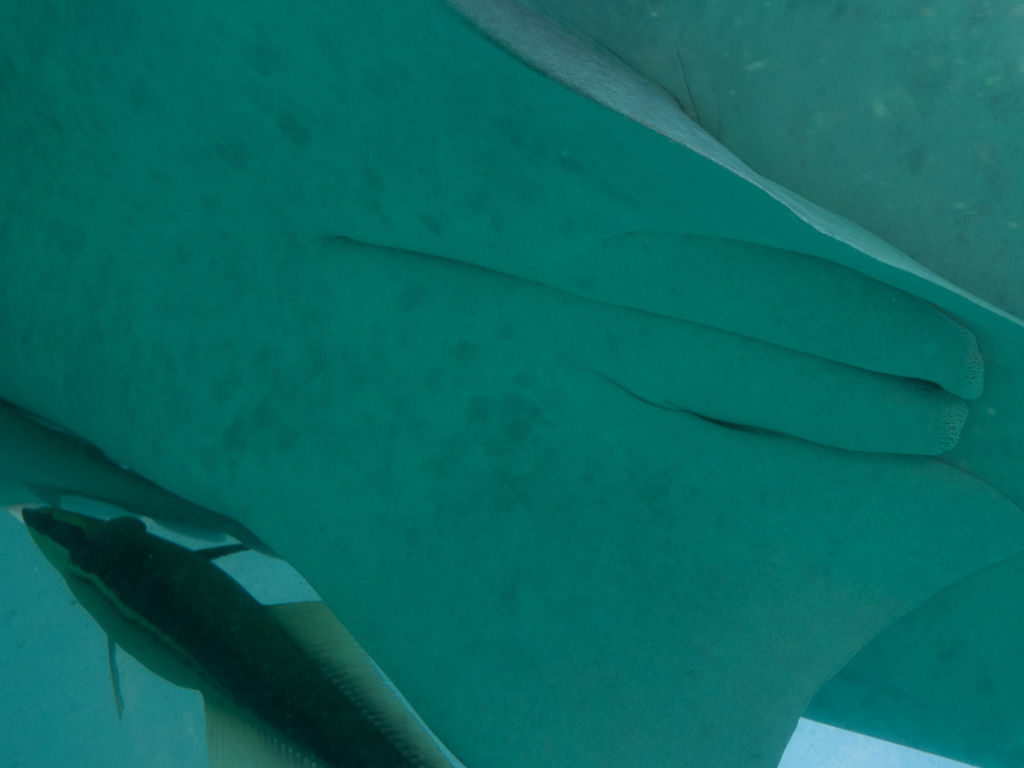 2dba626a-a5f3-4b53-aa6d-6eaa7426843b