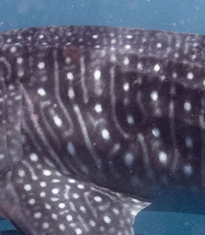 51dbca4c-6c09-47d7-b1a5-0a0e160e90af