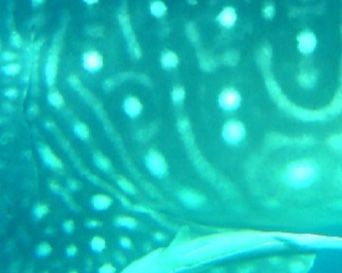 5c4cd31d-9a3e-407b-b9bd-e3de7b2bc524