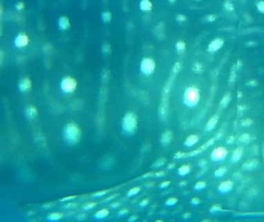 5c4cd31d-9a3e-407b-b9bd-e3de7b2bc524