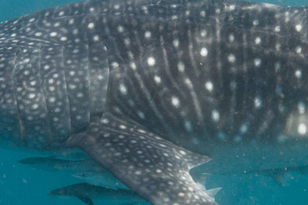 54aac2c7-9429-440e-b920-d53de1402993