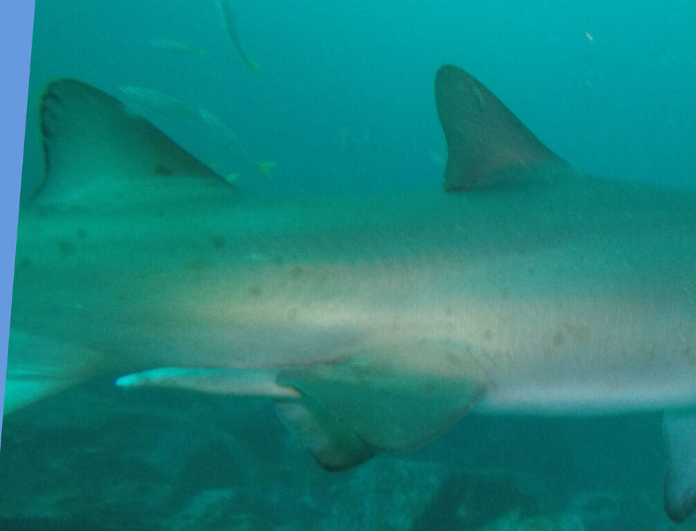 73f6d507-c683-4347-8c9e-5e51bbbfa846