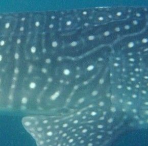 bcb5b64a-5d4a-4549-91c3-8789f6f2ca51