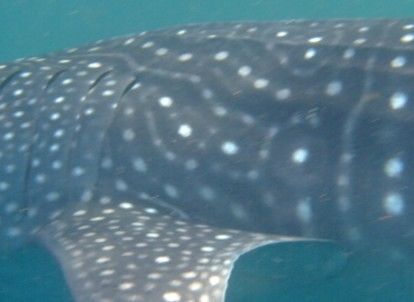 bcb5b64a-5d4a-4549-91c3-8789f6f2ca51