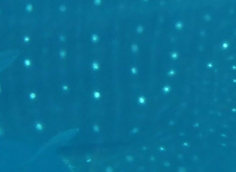 0c73eb3d-c87a-4359-ac91-9b8f43b1aa82