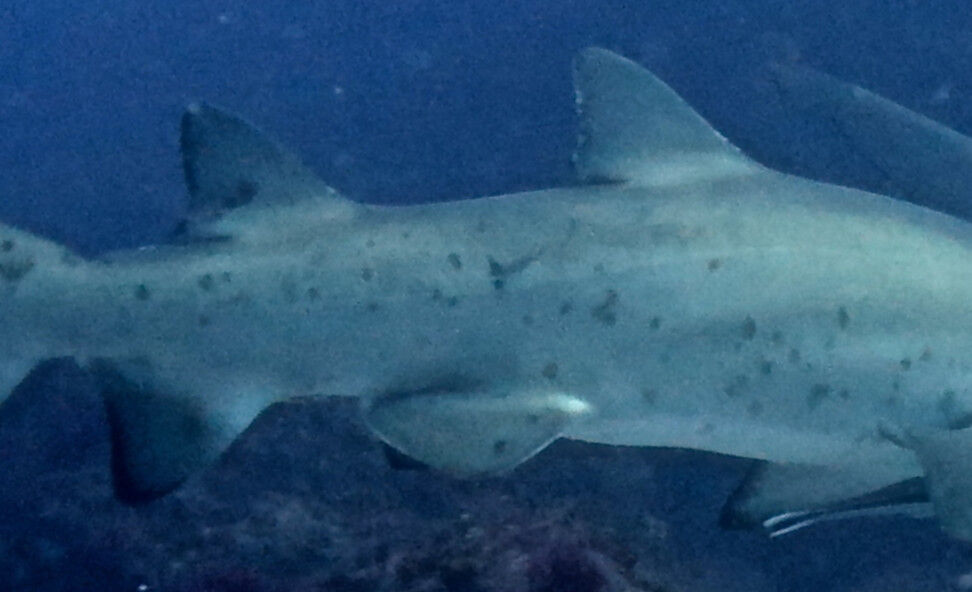 44842497-6a86-433f-9e72-dfd913e9b779