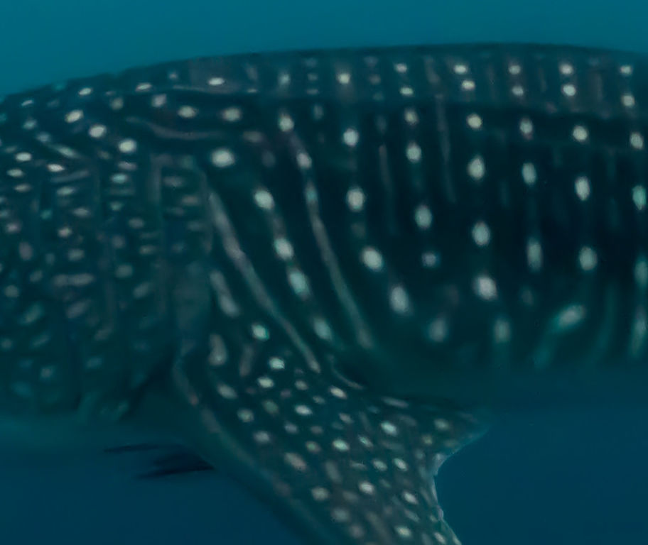 7e2df7e5-3368-404a-b8ac-698b5fc892ac