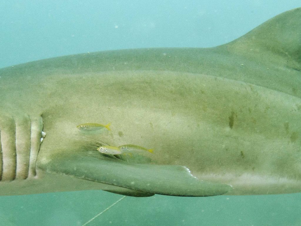 ee3a034a-5b5c-4ff3-ad63-9b821c545607