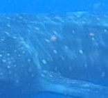 24756729-b16d-4ec5-abb0-8f8d76c296a3