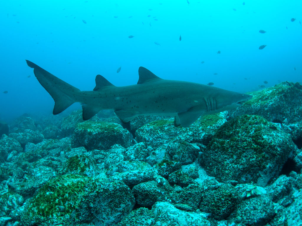 c7b89de9-7e1e-422c-b7bc-cbe65d0d819a