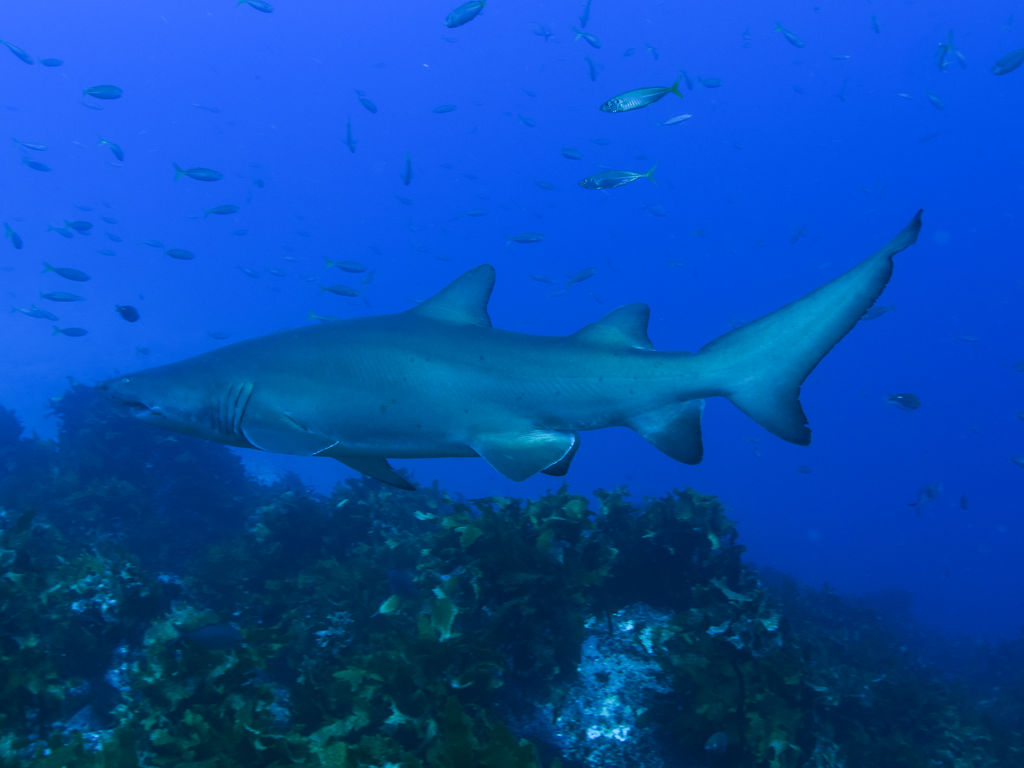 0b7c13e4-c46d-4557-8dab-9b7b21cafb93