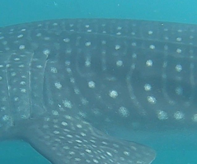 d6b46977-caed-4570-81d6-c06c54142f5b