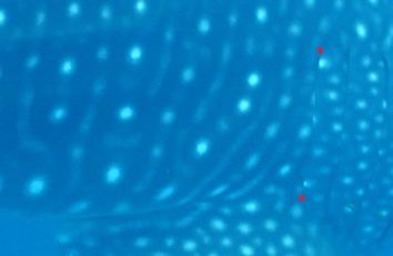 88a99335-7509-49dc-8b76-db7ff974afa2