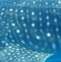 88a99335-7509-49dc-8b76-db7ff974afa2