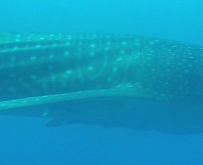 cd5f25ee-0f33-4a11-a78b-9f428e498134