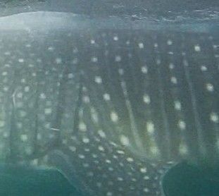 6a2960bd-0f58-4a5d-a08c-1753a4447acd