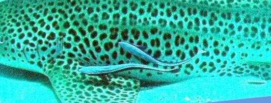 f396afc2-c0e4-45df-8bbb-f30b74badb78