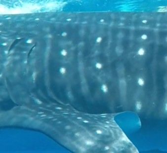 e345c585-94c7-425d-8509-cf14c2e16722