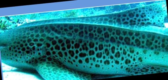 cc7fa32a-73e9-4979-bfff-0c3510016f58