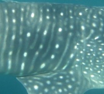 1aff05a6-f38d-4be0-a42e-85ccc774f273