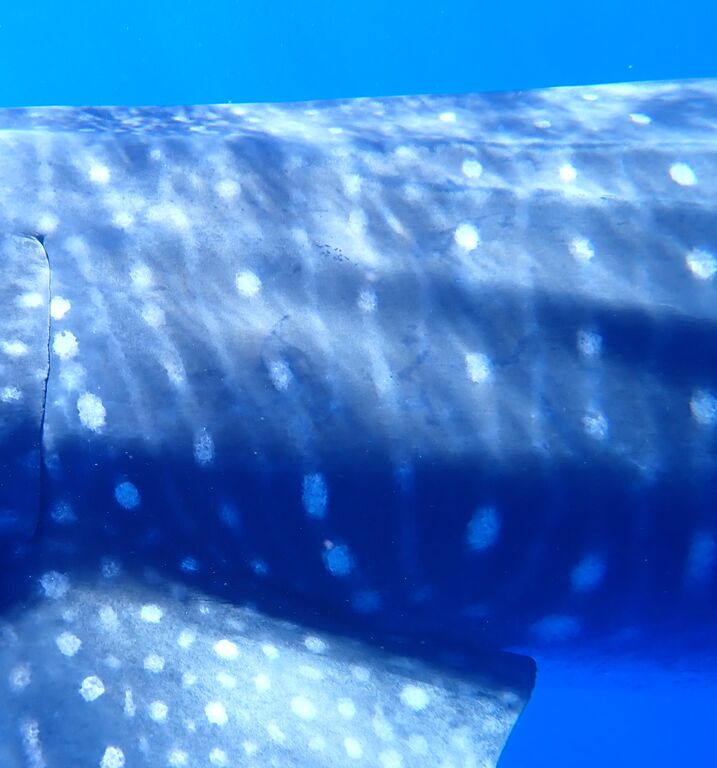 f06ef6df-617b-470d-840a-7393a47cf2c9