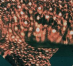 741495b2-d35b-4293-98db-6fecdbbe9479