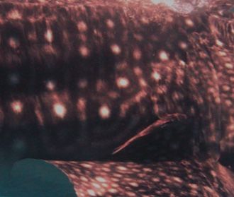 741495b2-d35b-4293-98db-6fecdbbe9479