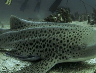 b9e70cdc-397e-4270-be9b-56bf6d5ac2a2