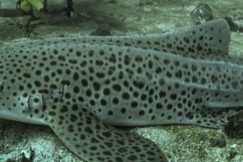 b9e70cdc-397e-4270-be9b-56bf6d5ac2a2