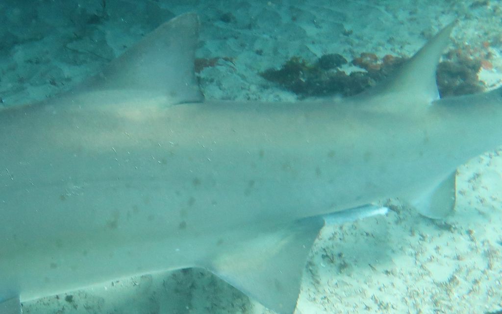 7f87f71f-2922-4984-8de2-e5a766654e07