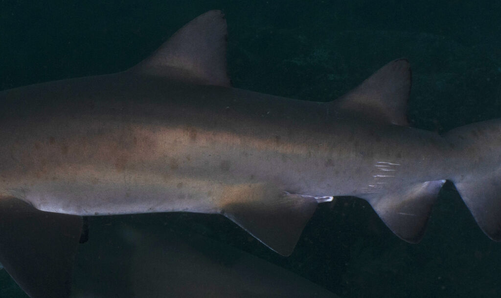 2b06e6ea-3485-4dd4-aa5a-d1b36536994e