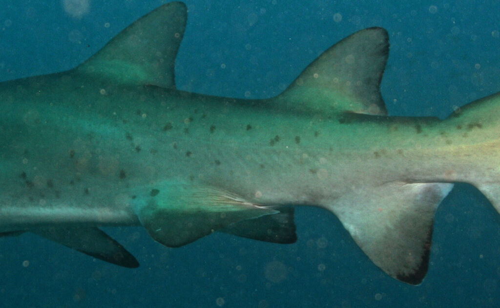 1e6adf89-d621-496d-a3c4-2be05bf2074f