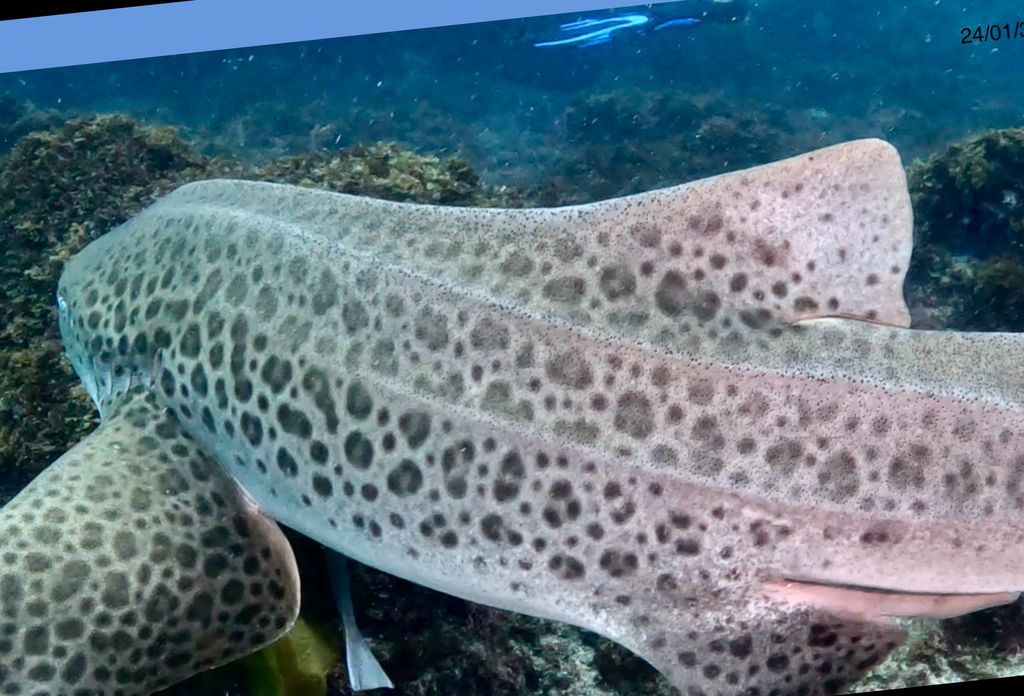 e965cda1-d920-4ea2-8b68-56265d047b6a