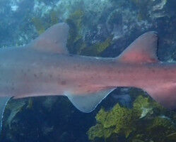 c0404fd8-16f1-41ee-86b5-31e571febed4